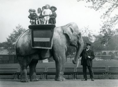 An Indian Elephant, with keeper, taking small children for a ride at London Zoo by Frederick William Bond